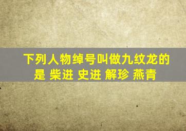 下列人物绰号叫做九纹龙的是 柴进 史进 解珍 燕青